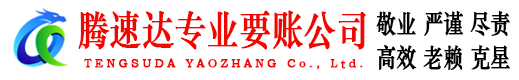 龙文要债公司
